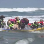 14匹のワンコがサーフィン同時乗り世界記録