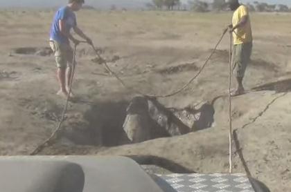 穴に落ちて出られなくなった子象を救助、親と感動の再会