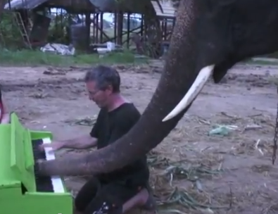 象と男のピアノの連弾