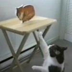絵のネコと戦うネコ