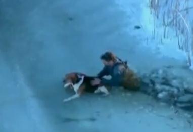 凍った湖から出られなったワンコとその飼い主の救助