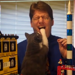 LEGOのプロモーションビデオに猫の邪魔がはいる