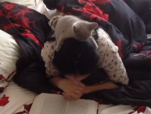 女性の頭の上から本を読む子猫