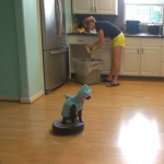 キッチンの掃除を手伝うサメ猫