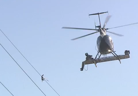 電線に引っかかった野鳥をヘリコプターで救出