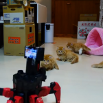 子猫 vs. 6足歩行ロボット