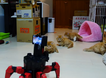 子猫 vs. 6足歩行ロボット