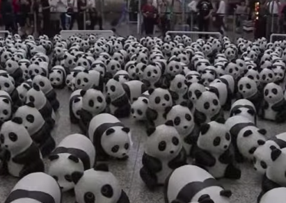 1600匹のパンダの香港ツアー