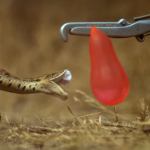 アフリカの毒蛇パフアダーの攻撃をハイスピード撮影