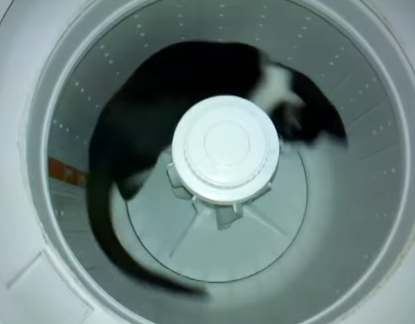 ネコ駆動洗濯機