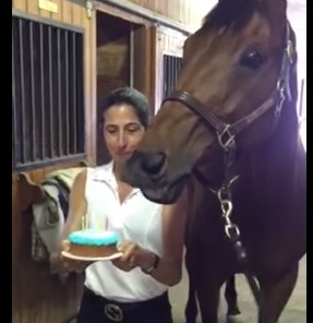馬の誕生日にバースデーケーキをプレゼントしたら…