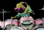 パグ犬がメタリカのドラムを演奏
