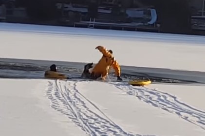 凍った湖に落ちたワンコを噛みつかれながらも救出