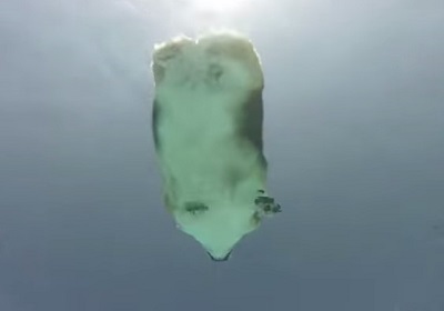 コーギーの泳ぐ姿を水中から撮影
